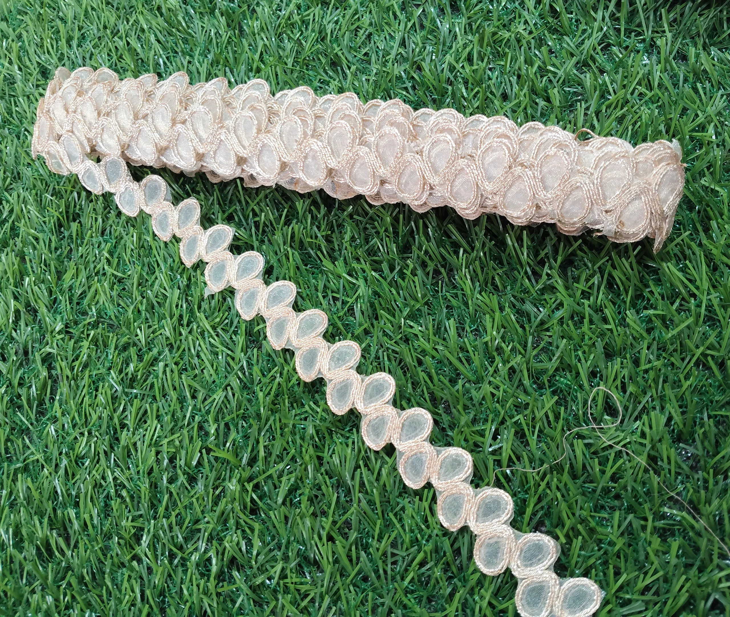 IMG_20251002_114201 Palmate gold saree lace