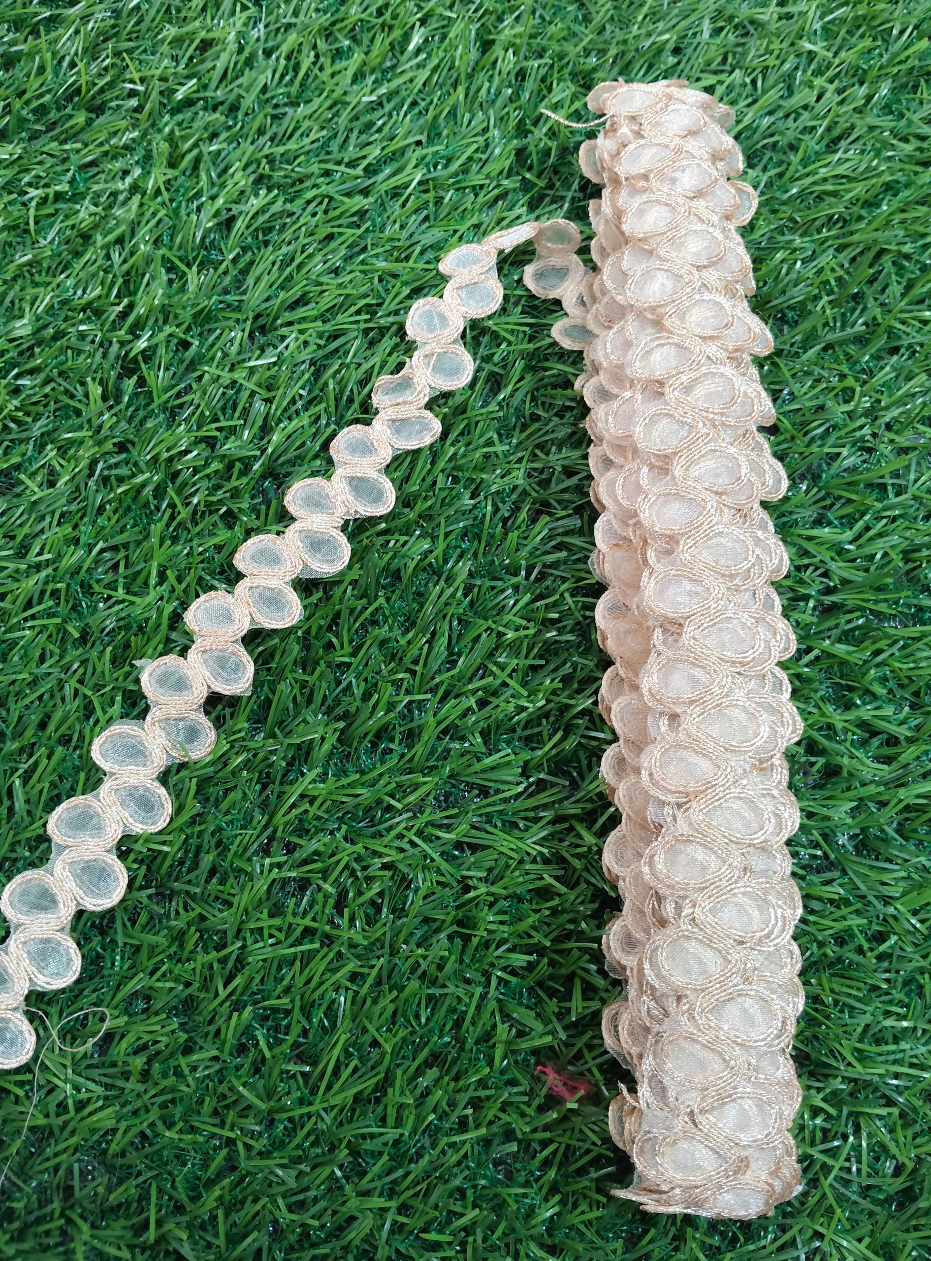 IMG_20251002_114217 palmate gold lace