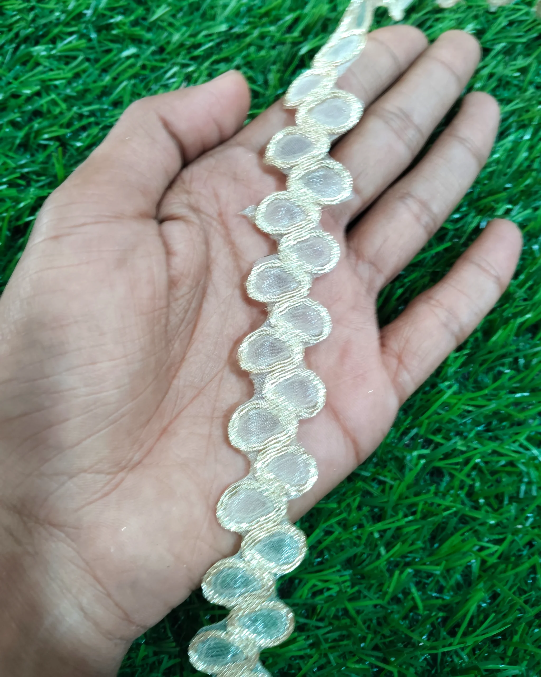 IMG_20251002_114227 Palmate gold saree lace