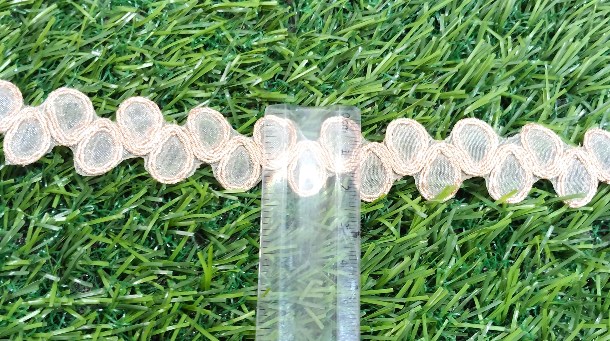 IMG_20251002_114243 Palmate gold saree lace