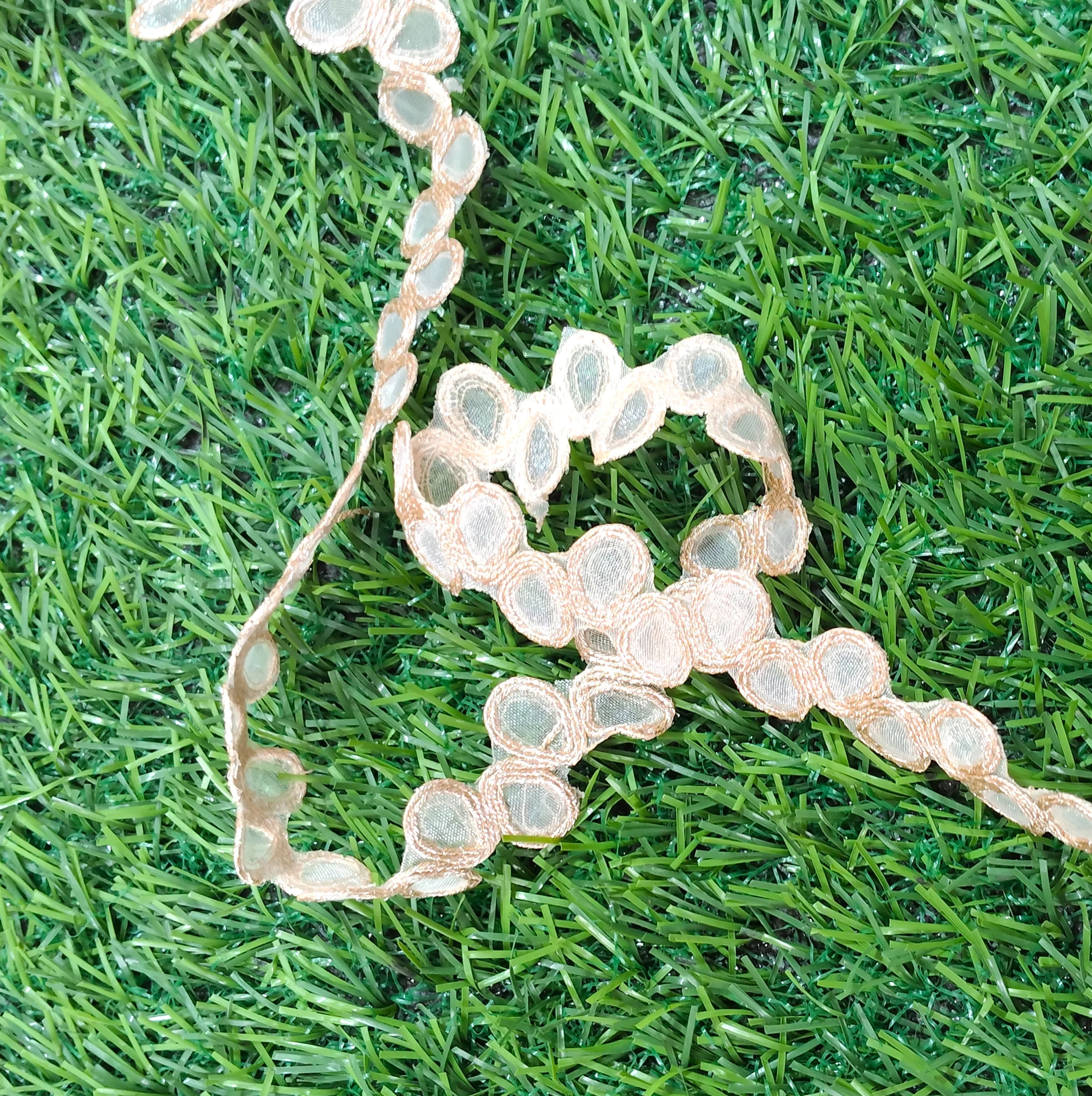 IMG_20251002_114301 Palmate gold saree lace