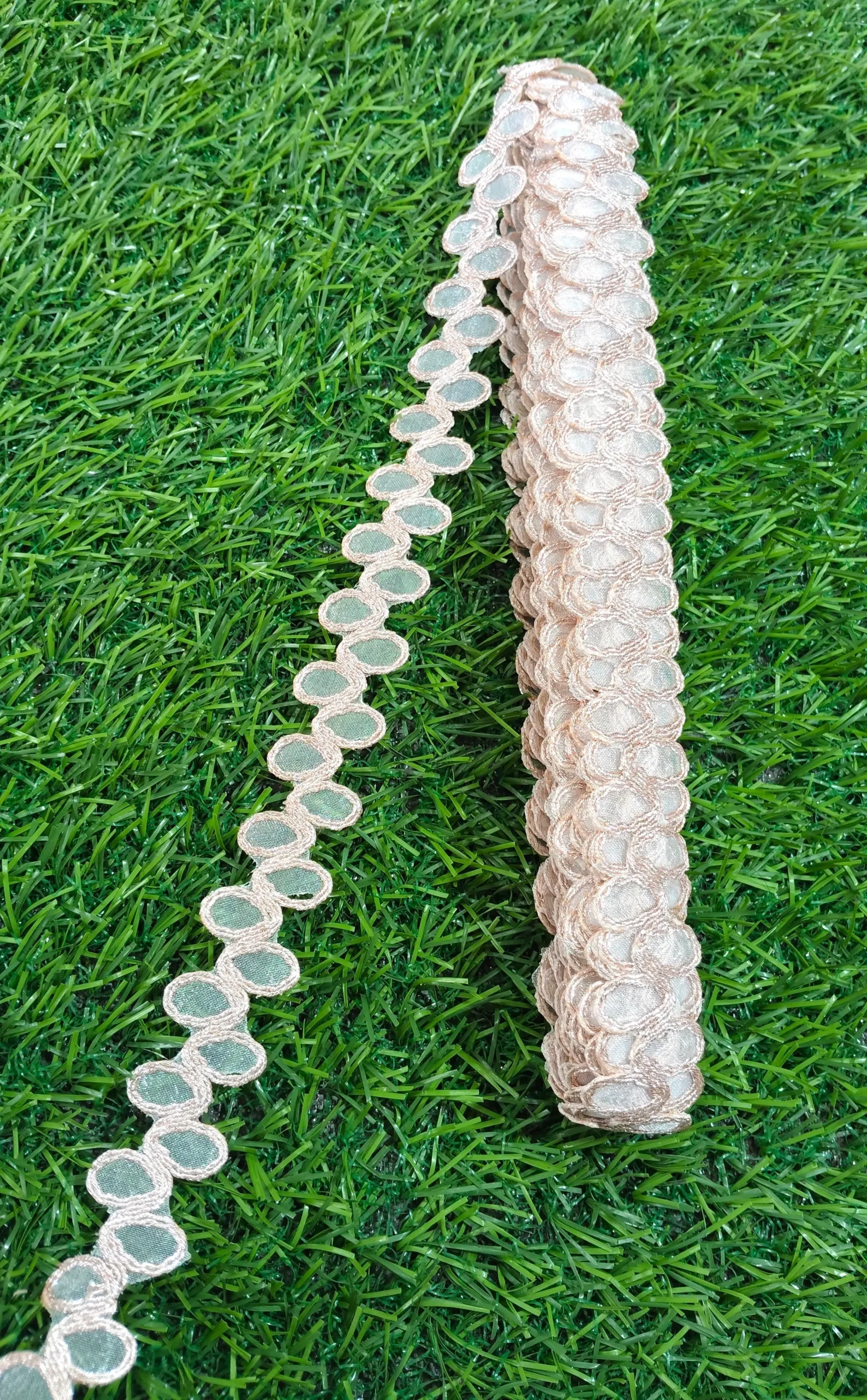 IMG_20251002_114851 Rose Gold Saree Lace